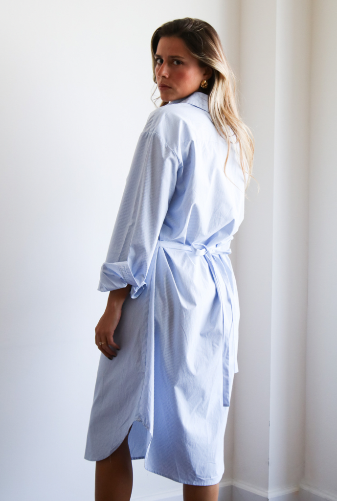 Flavia Button-Down Dress
