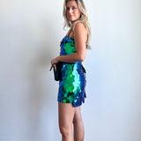 Sadie Sequin Dress