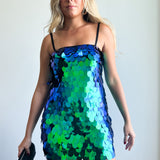 Sadie Sequin Dress