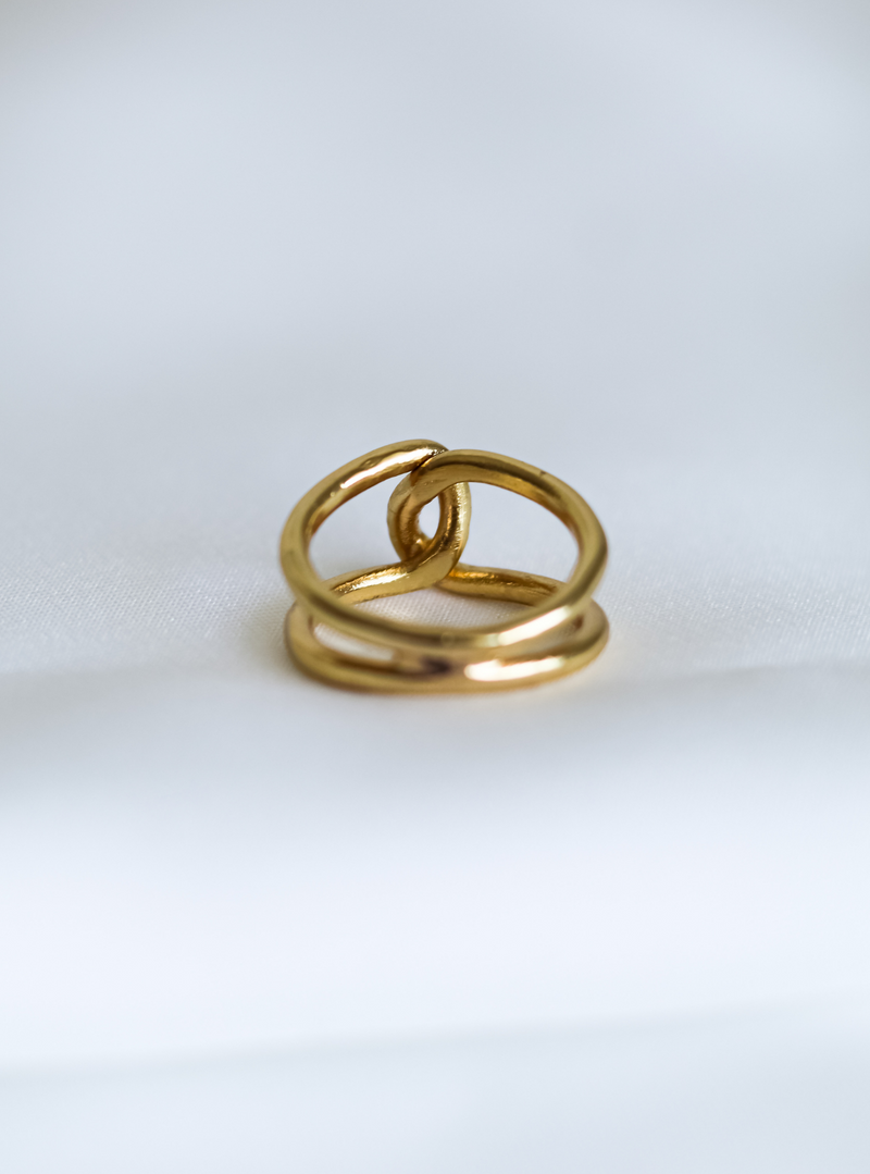 Antlia ring