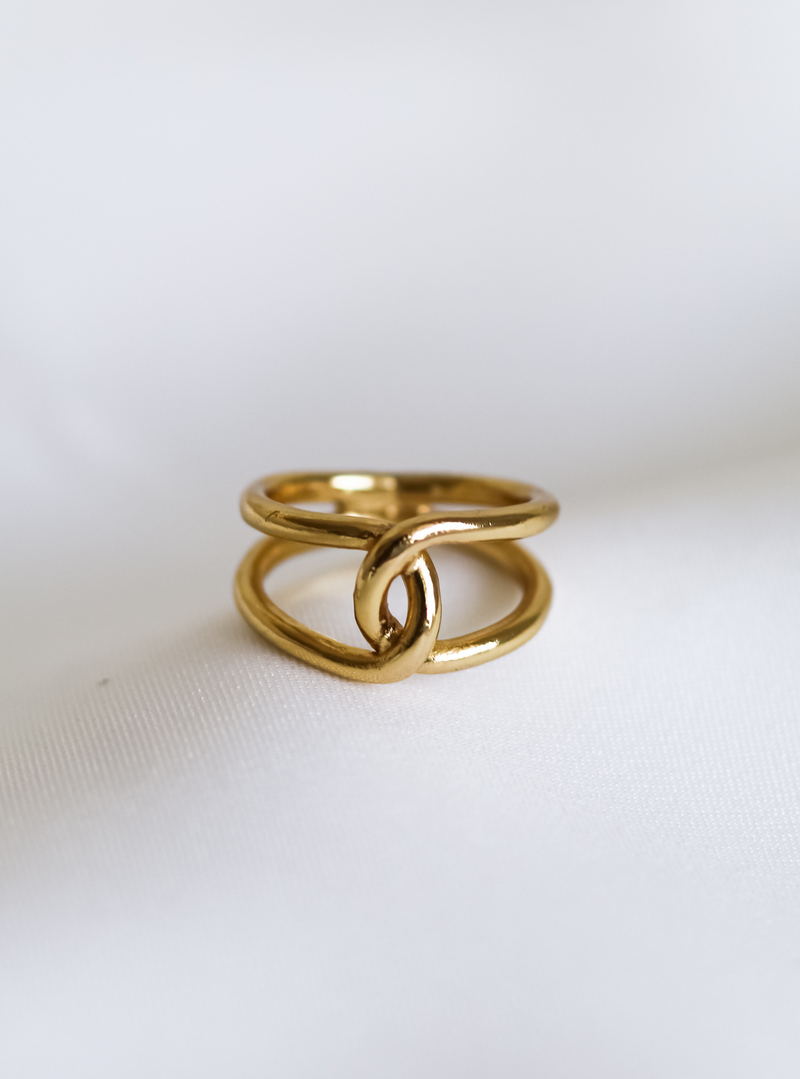 Antlia ring