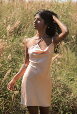Gara Short champagne Dress